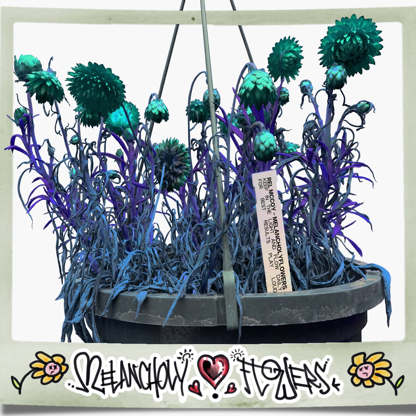 Melancholy Flowers Instrumental Digital Album