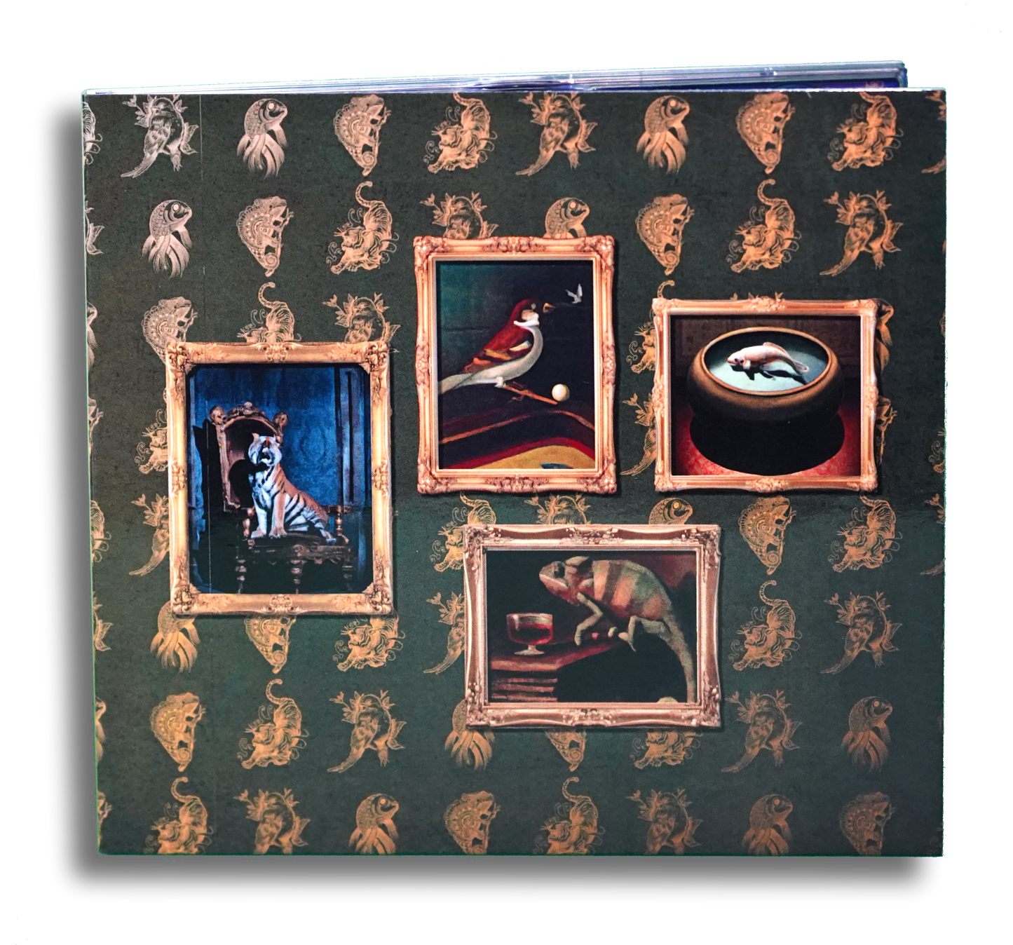 3 CD Bundle